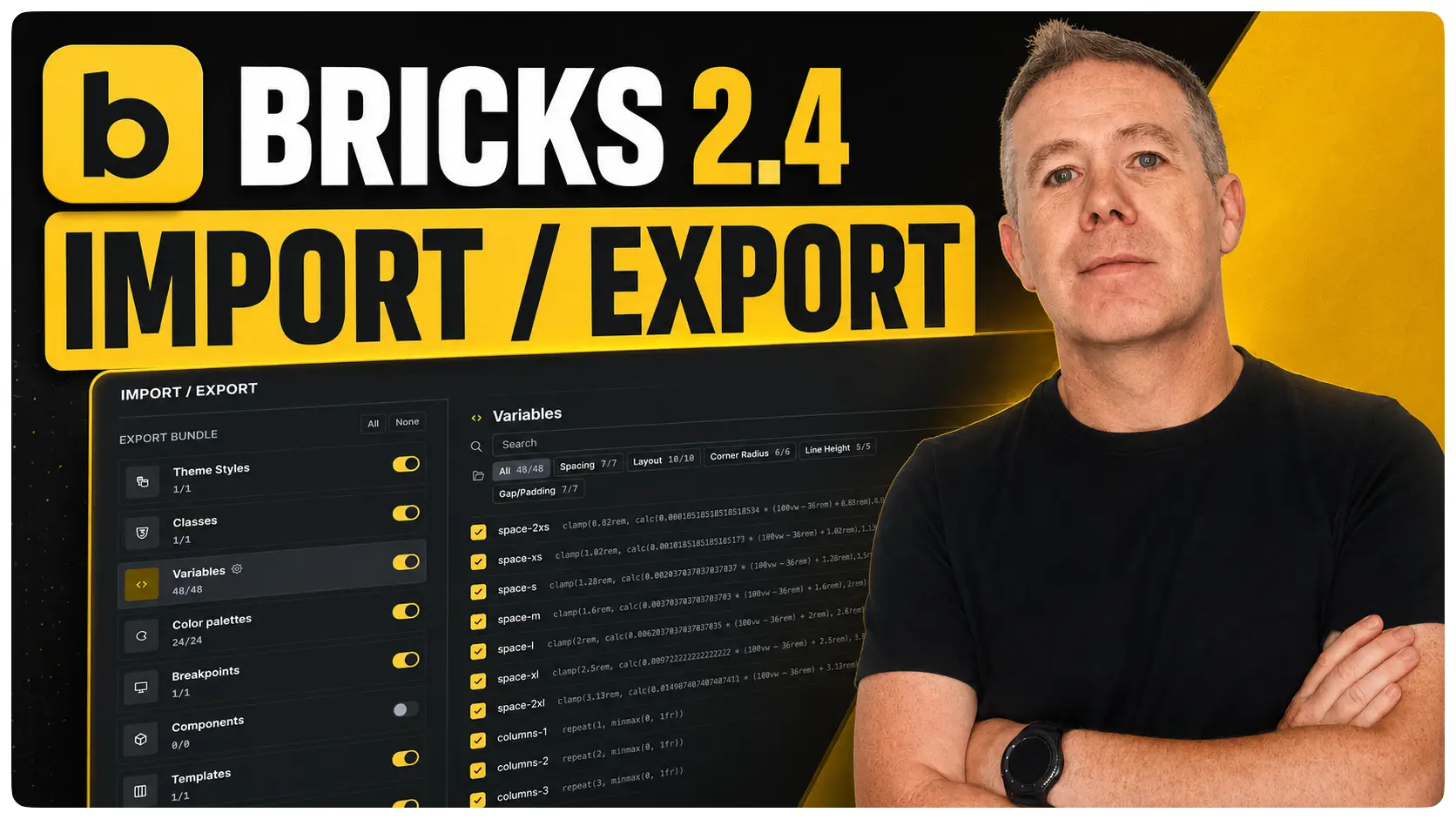 Bricks 2.4 import and export tutorial graphic